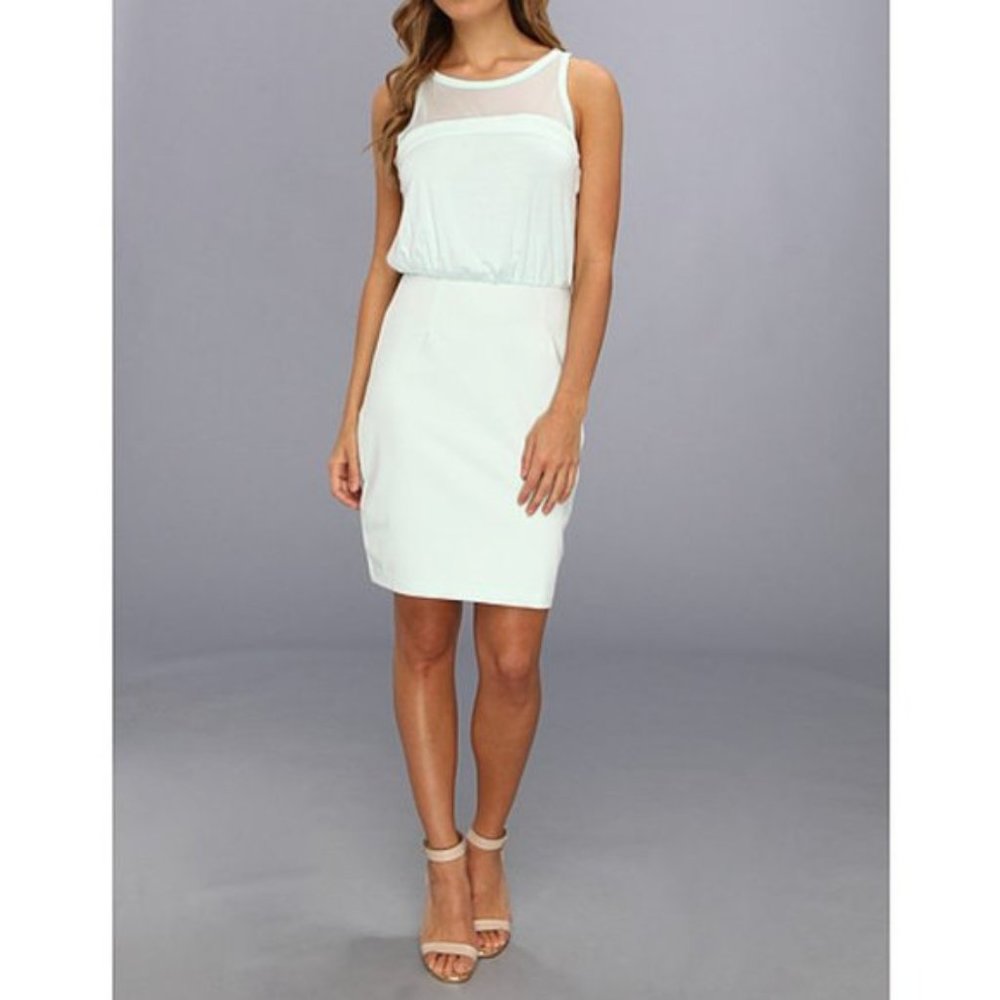 BCBGeneration Mesh Dress in Mink